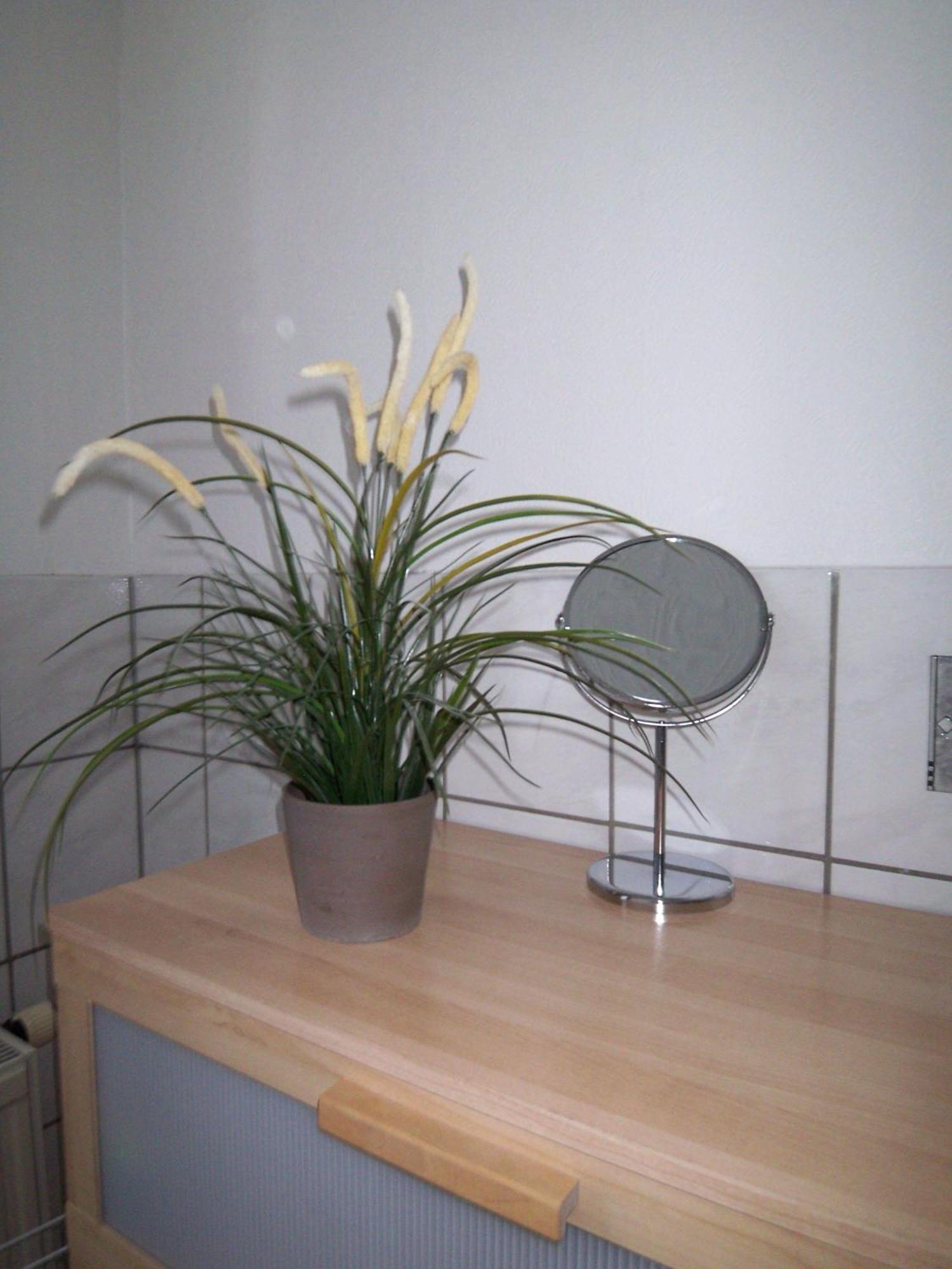 Ambiente-An-Der-Elbe-Wohnung-Og Dresda Esterno foto
